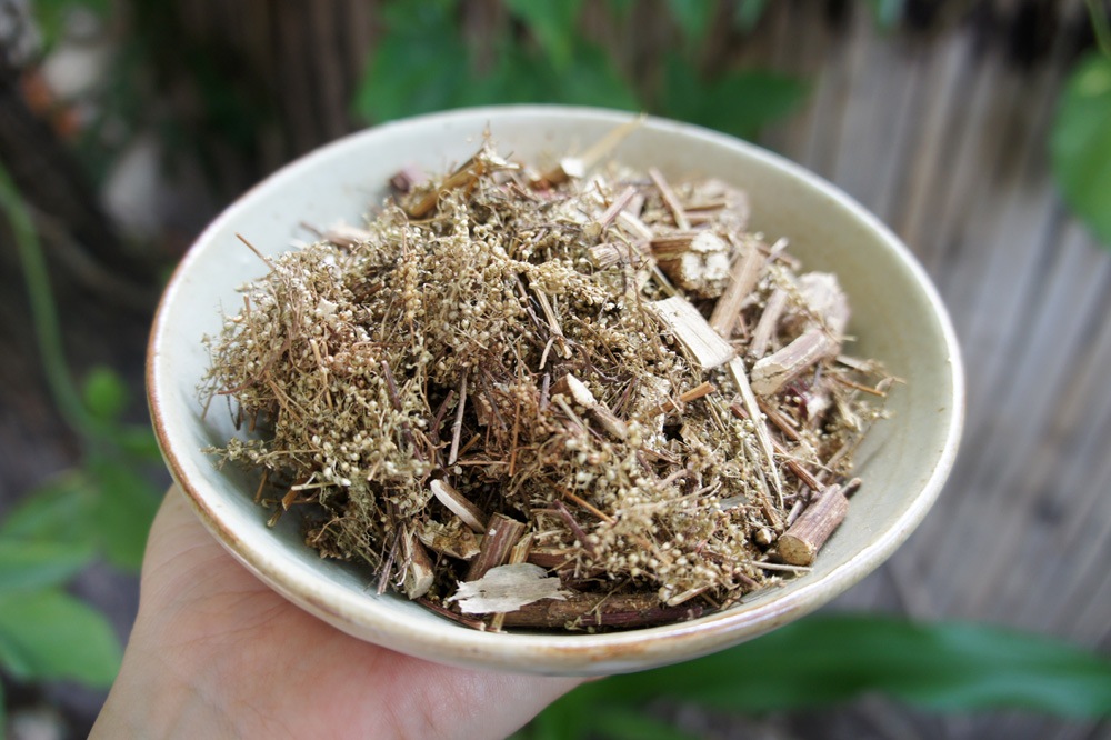 Sweet Wormwood More Effective Than Chemotherapy NaturalHealth365