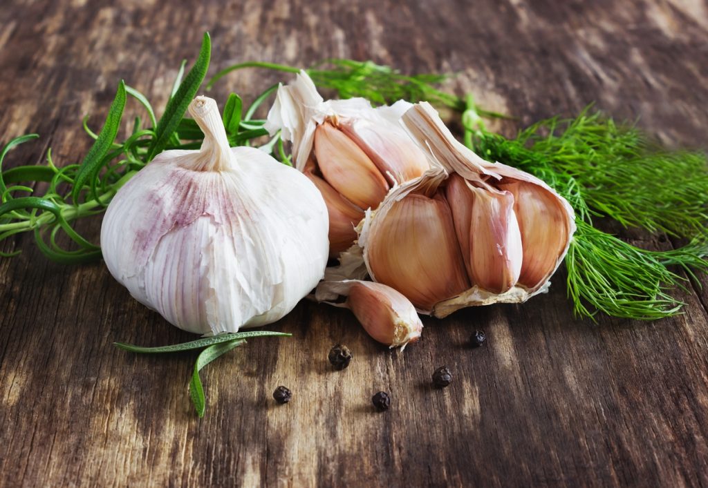 garlic-supplements-linked-to-positive-results-naturalhealth365