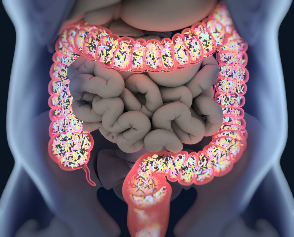 Beneficial Gut Bacteria Improved with Prebiotics | NaturalHealth365
